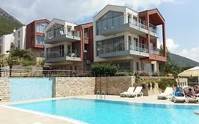 Acacia Hill Olive Tree Apartment